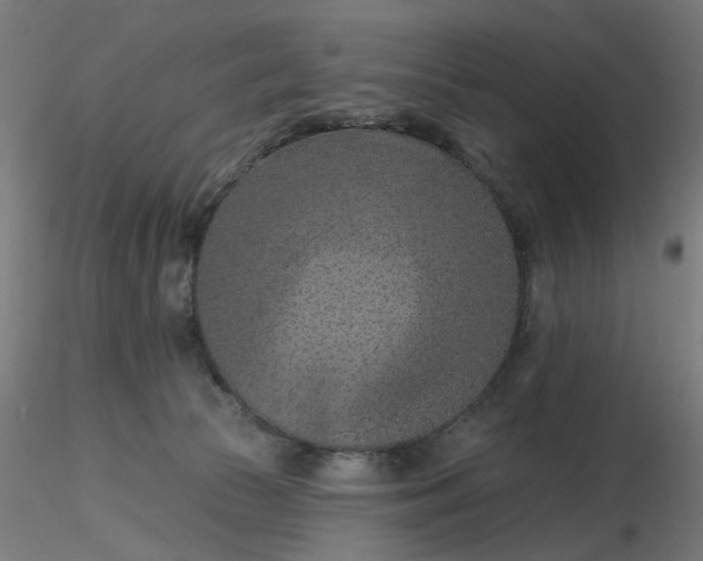 X0000116510177200912231241