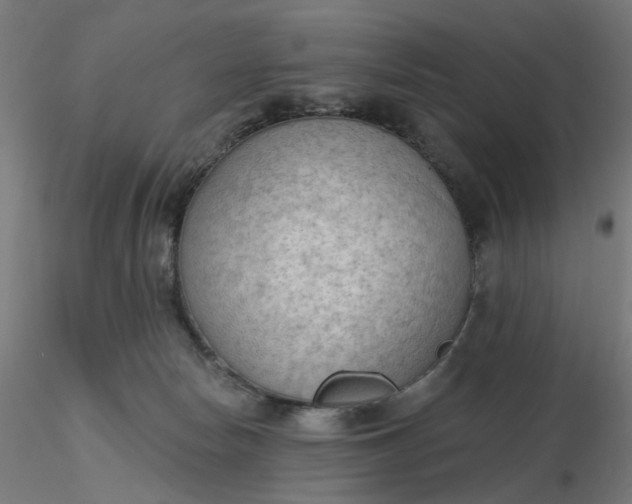 X0000116510178200912231241