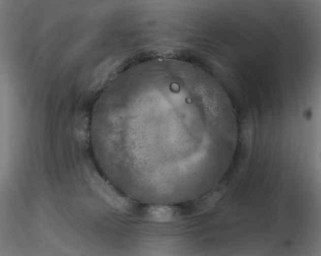 X0000116510181200912231241