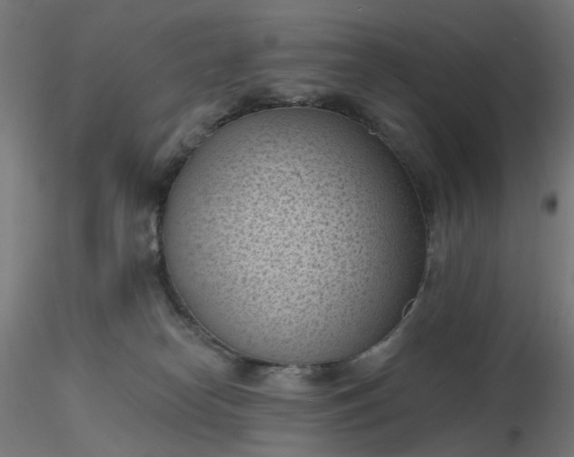 X0000116510182200912231241