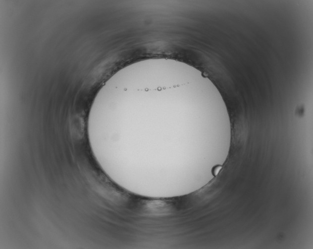 X0000116510183200912231241