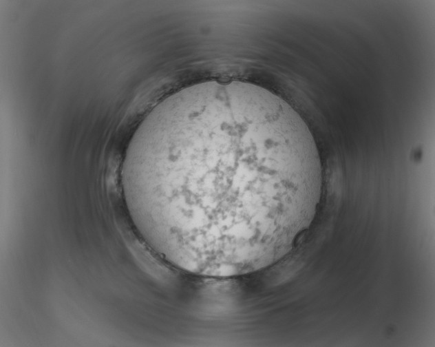 X0000116510185200912231241