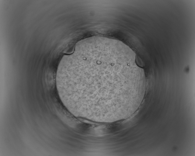 X0000116510186200912231241