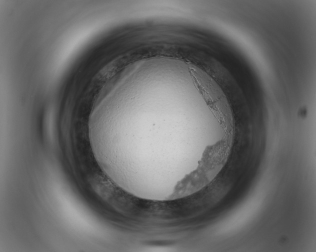 X0000116510189200912231241