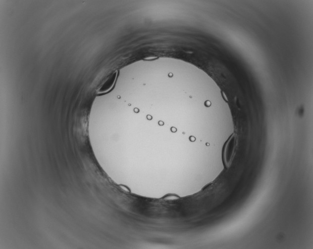 X0000116510190200912231241