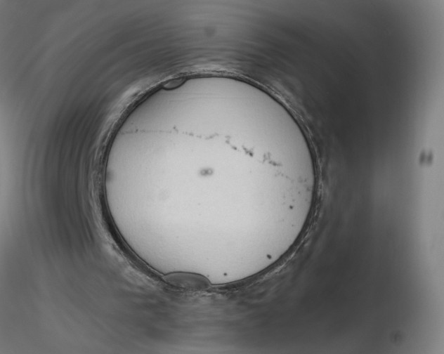 X0000116510193200912231240