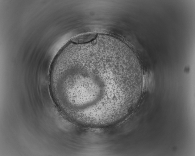 X0000116510195200912231240