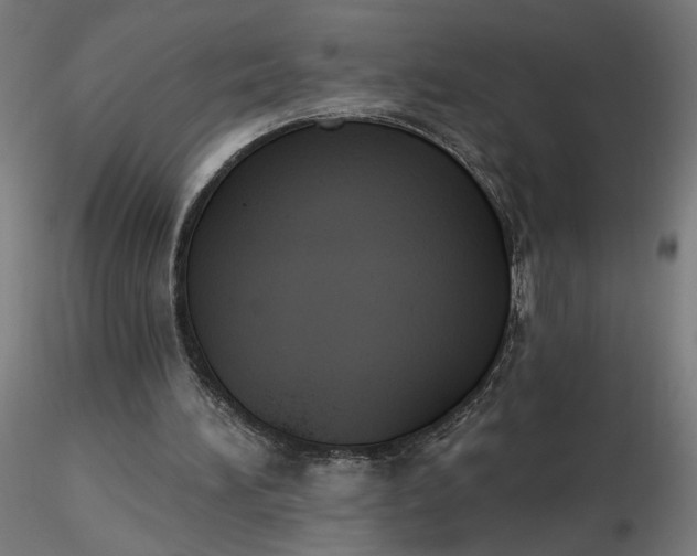 X0000116510196200912231240