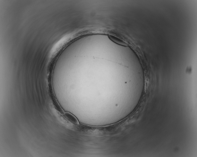 X0000116510197200912231240