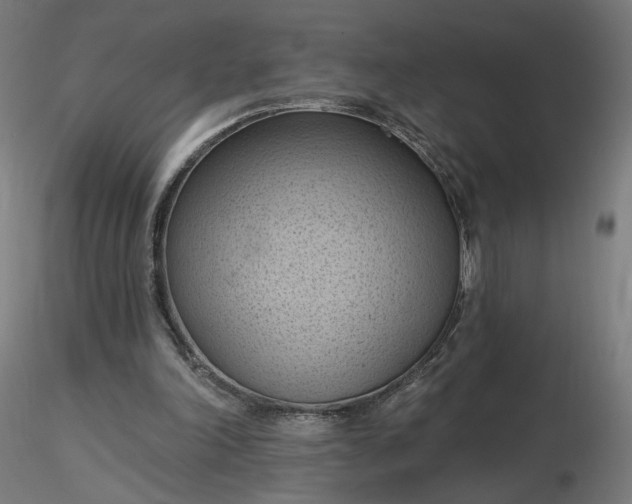 X0000116510198200912231240