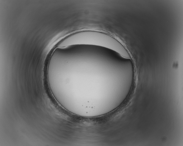 X0000116510199200912231240