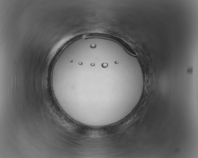 X0000116510200200912231240