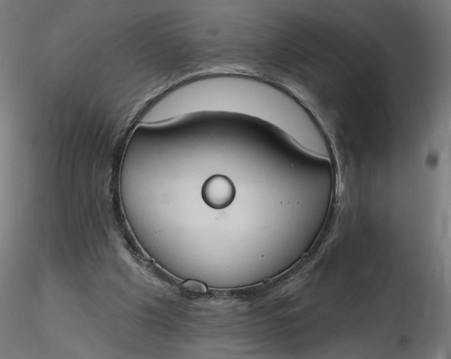 X0000116510201200912231240