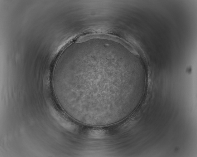 X0000116510202200912231240