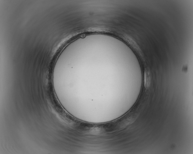 X0000116510204200912231240