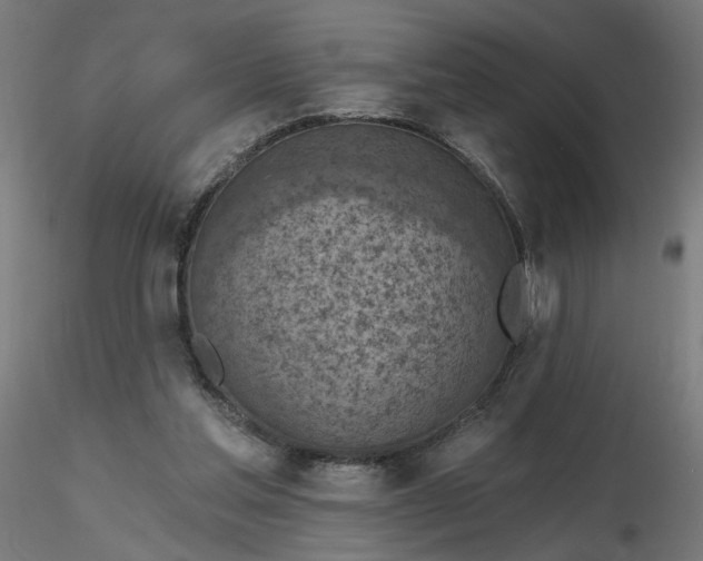 X0000116510205200912231240