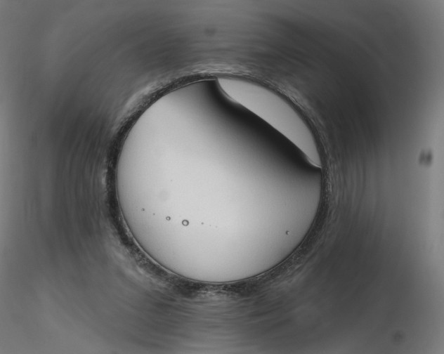 X0000116510207200912231240