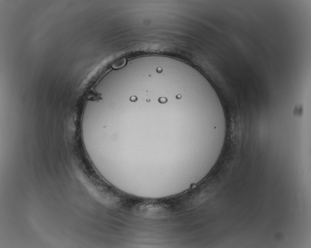 X0000116510208200912231240