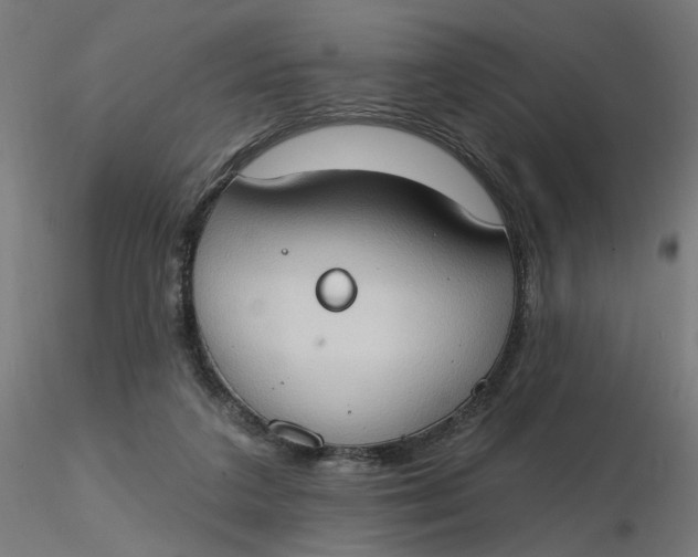 X0000116510211200912231240