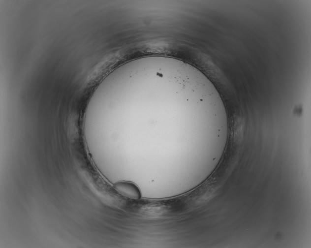 X0000116510213200912231240