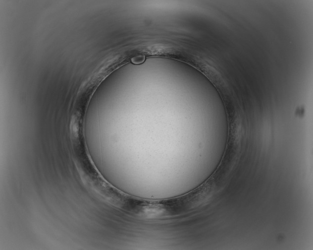 X0000116510214200912231240