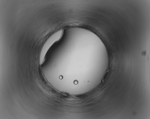 X0000116510215200912231240