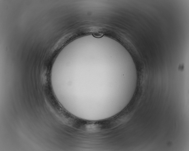 X0000116510216200912231240