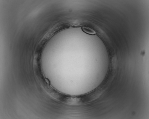 X0000116510217200912231240