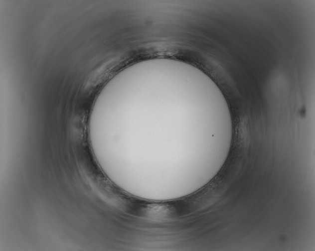 X0000116510218200912231240