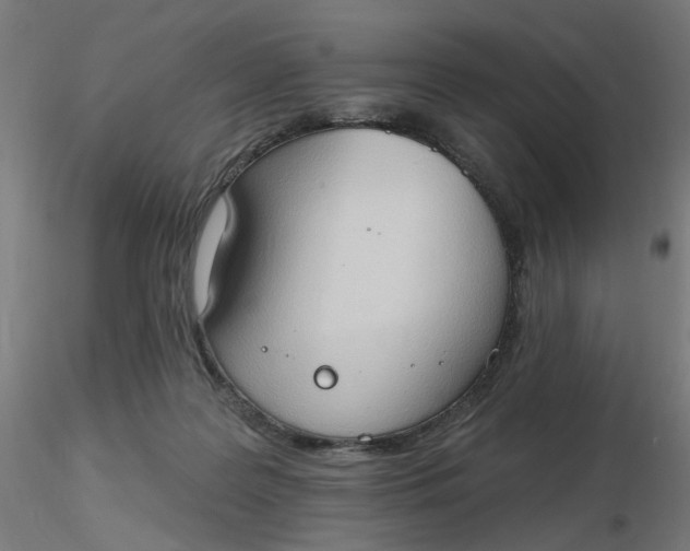 X0000116510219200912231240