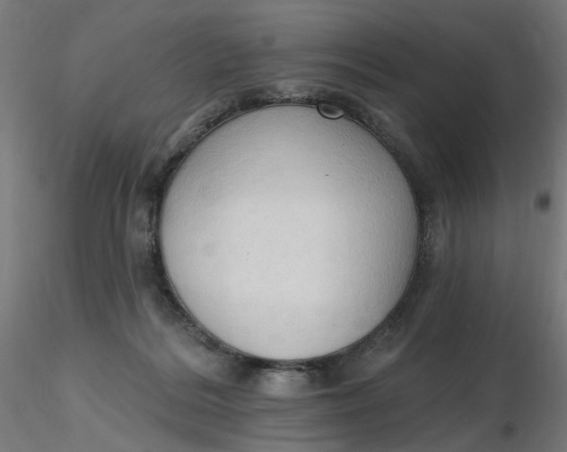 X0000116510220200912231240