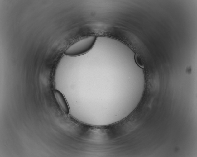 X0000116510221200912231240