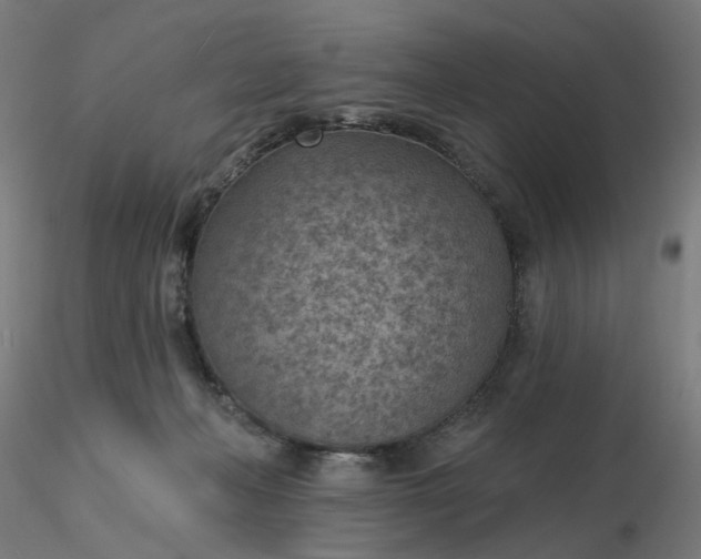 X0000116510222200912231240