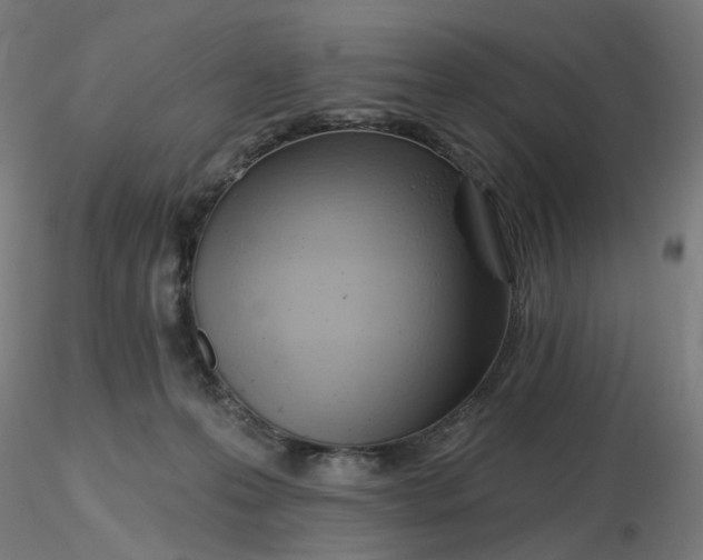 X0000116510223200912231240