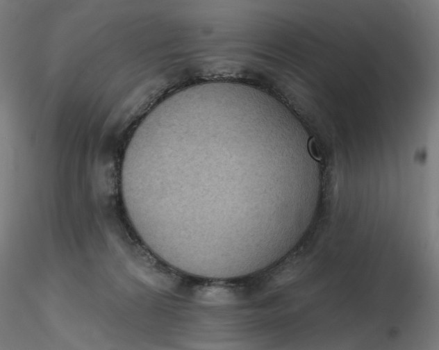 X0000116510224200912231240