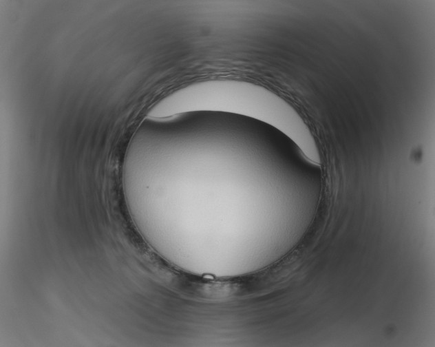 X0000116510225200912231240