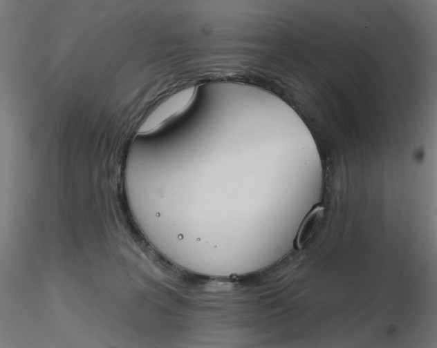 X0000116510227200912231240