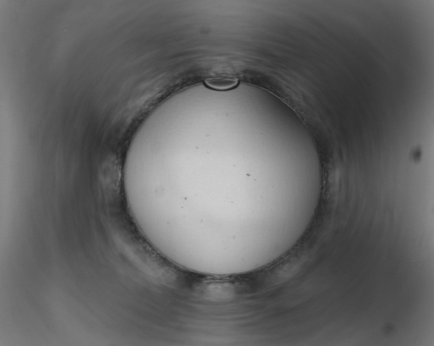 X0000116510228200912231240