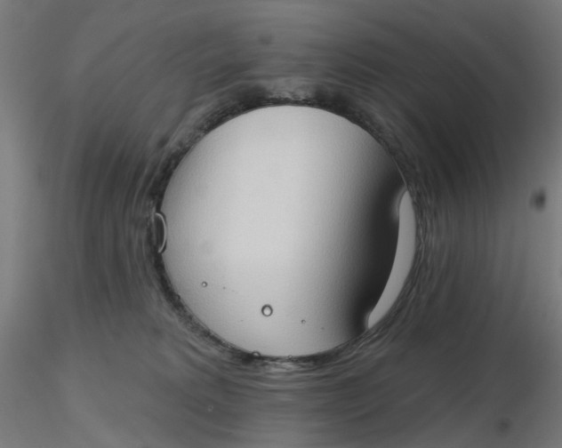 X0000116510229200912231240