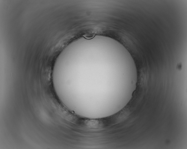 X0000116510230200912231240