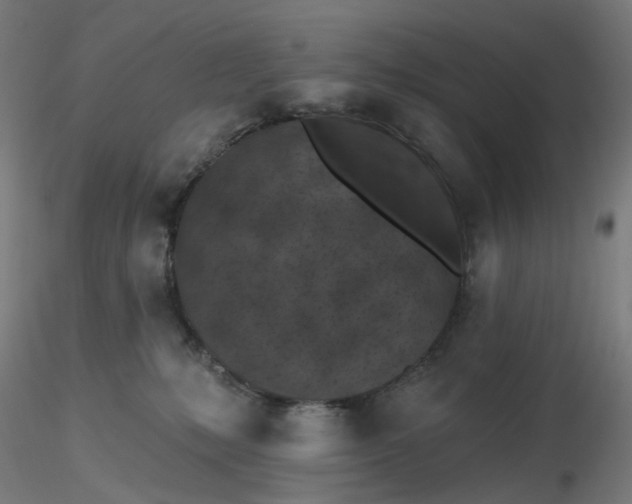 X0000116510231200912231240