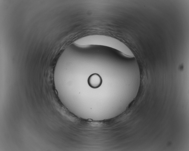 X0000116510233200912231240