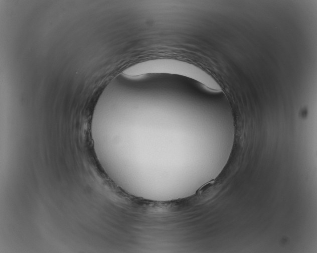 X0000116510235200912231240