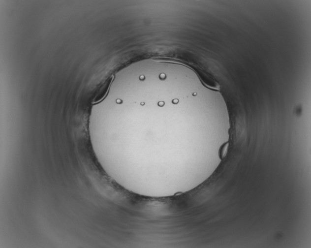 X0000116510236200912231240