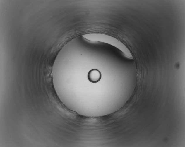 X0000116510237200912231240