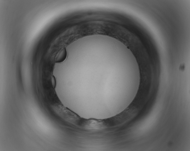 X0000116510239200912231240