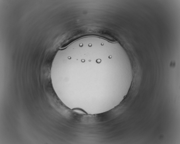 X0000116510240200912231240