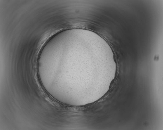 X0000116510241200912231239