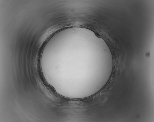 X0000116510242200912231239