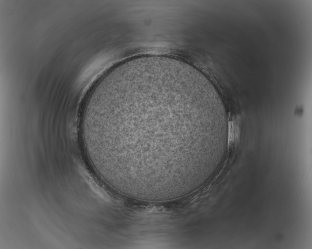 X0000116510243200912231239